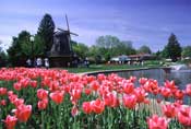 Sunken Gardens at Pella Tulip Festival