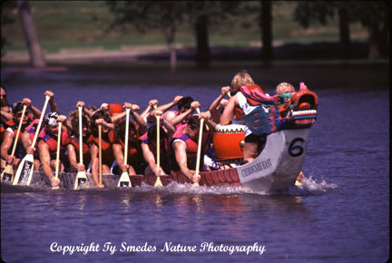 Dragon Boat races, Cedar Rapids Iowa