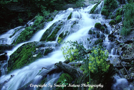 Dunnings Spring, Decorah Iowa
