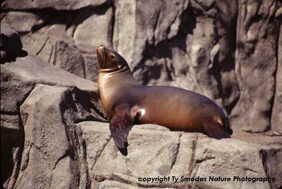 Blank Park Zoo, Des Moines Iowa