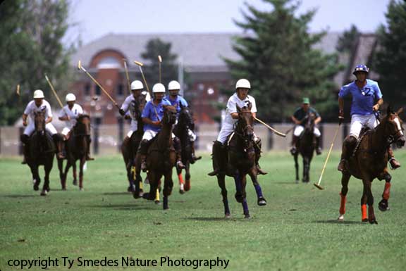 Polo Match in Des Moines Iowa
