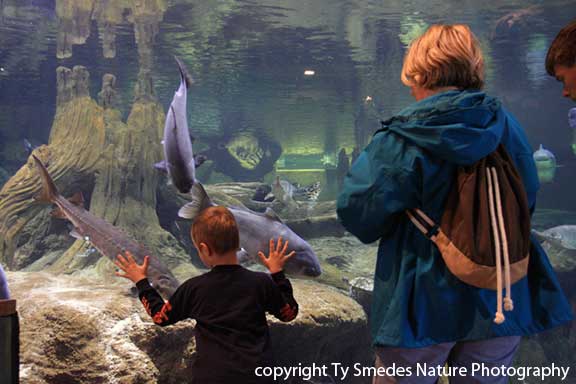 Dubuque River Museum