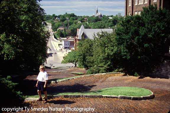 Snake Alley, Burlington Iowa