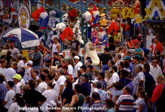 The Midway at the Iowa State Fair