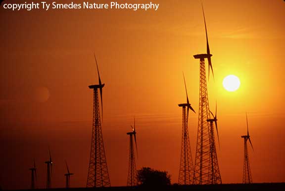 Wind Farm at Cherokee Iowa
