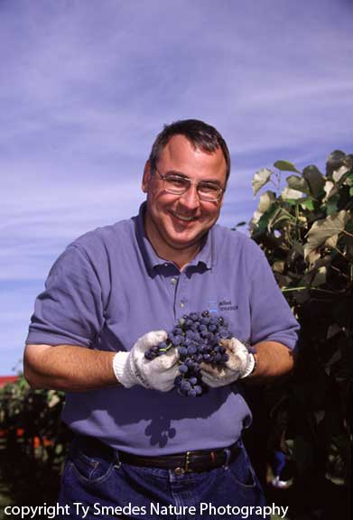 Summerset Winery, Indianola Iowa