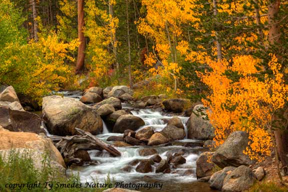 Bishop Creek - Eastern Sierras