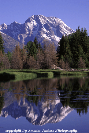 Mount Moran Reflection