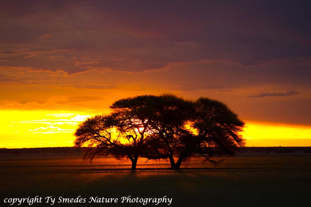 Sunset - Kalahari Desert, Botswana