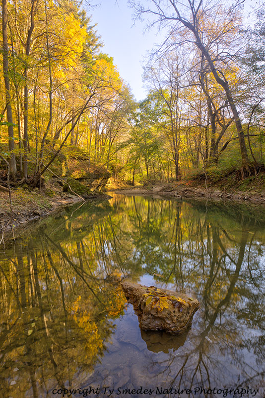 Fall color scenic in NE Iowa