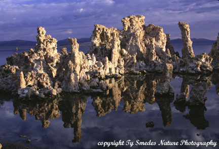 Mono Lake Tufa Formations